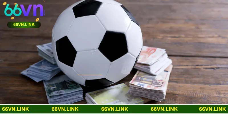 Các loại hình nổi bật được áp dụng rộng rãi