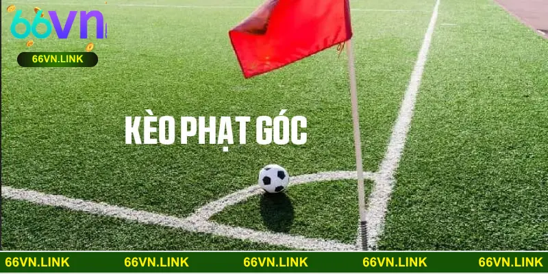 Cập nhật nhanh danh sách cầu thủ đá chính và dự bị