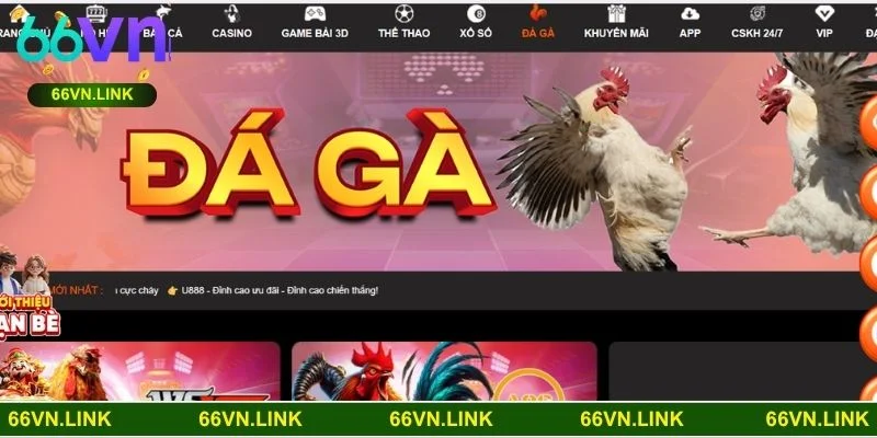 Đá gà 66VN mang đến trải nghiệm cược trực tuyến đỉnh cao