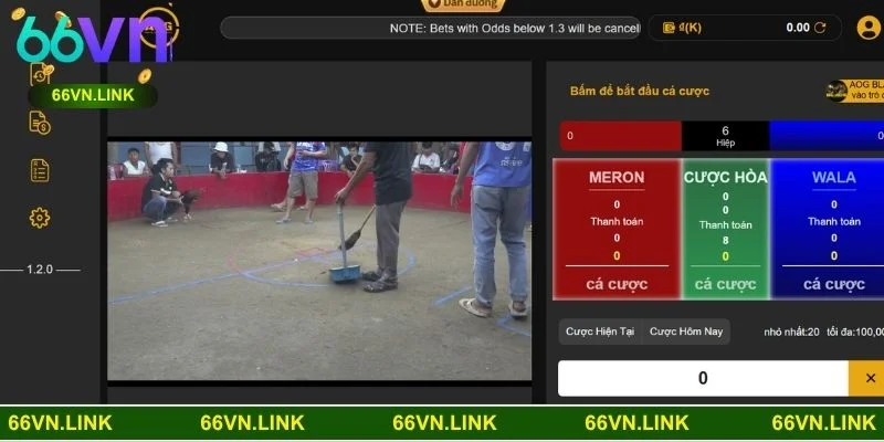 Đá gà tre 66VN mang đến trải nghiệm cá cược đỉnh cao