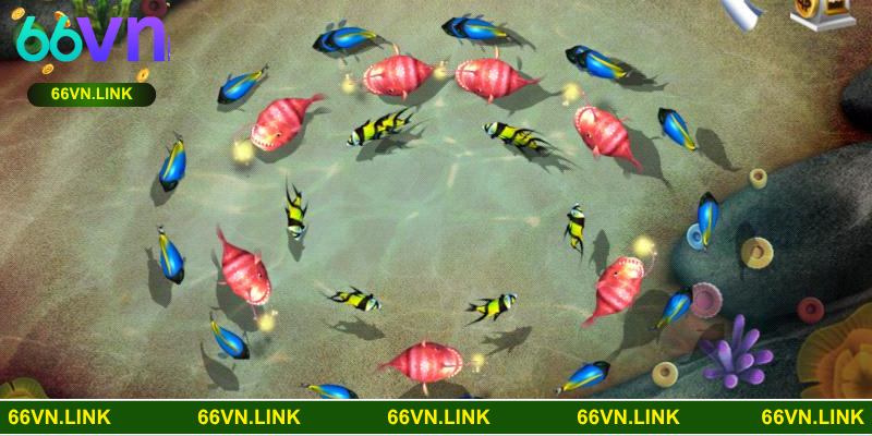 Đa ưu thế vượt bậc giúp sân chơi thu hút newbie lui tới