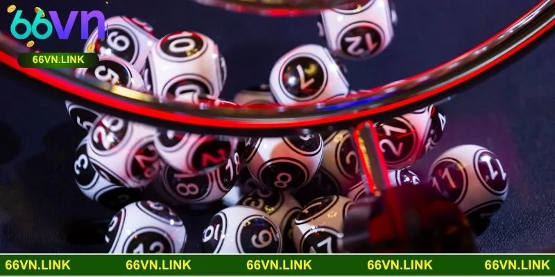 Khám phá 3 phương pháp nuôi dàn đề hiệu quả, dễ trúng thưởng