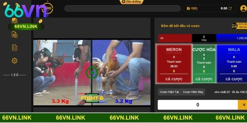 Nắm rõ quy luật đá gà tre giúp cược thủ thắng lớn