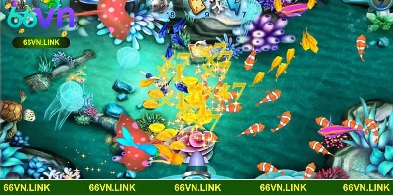 Thế giới đại dương săn rùa sống động với hàng trăm loài sinh vật quý hiếm